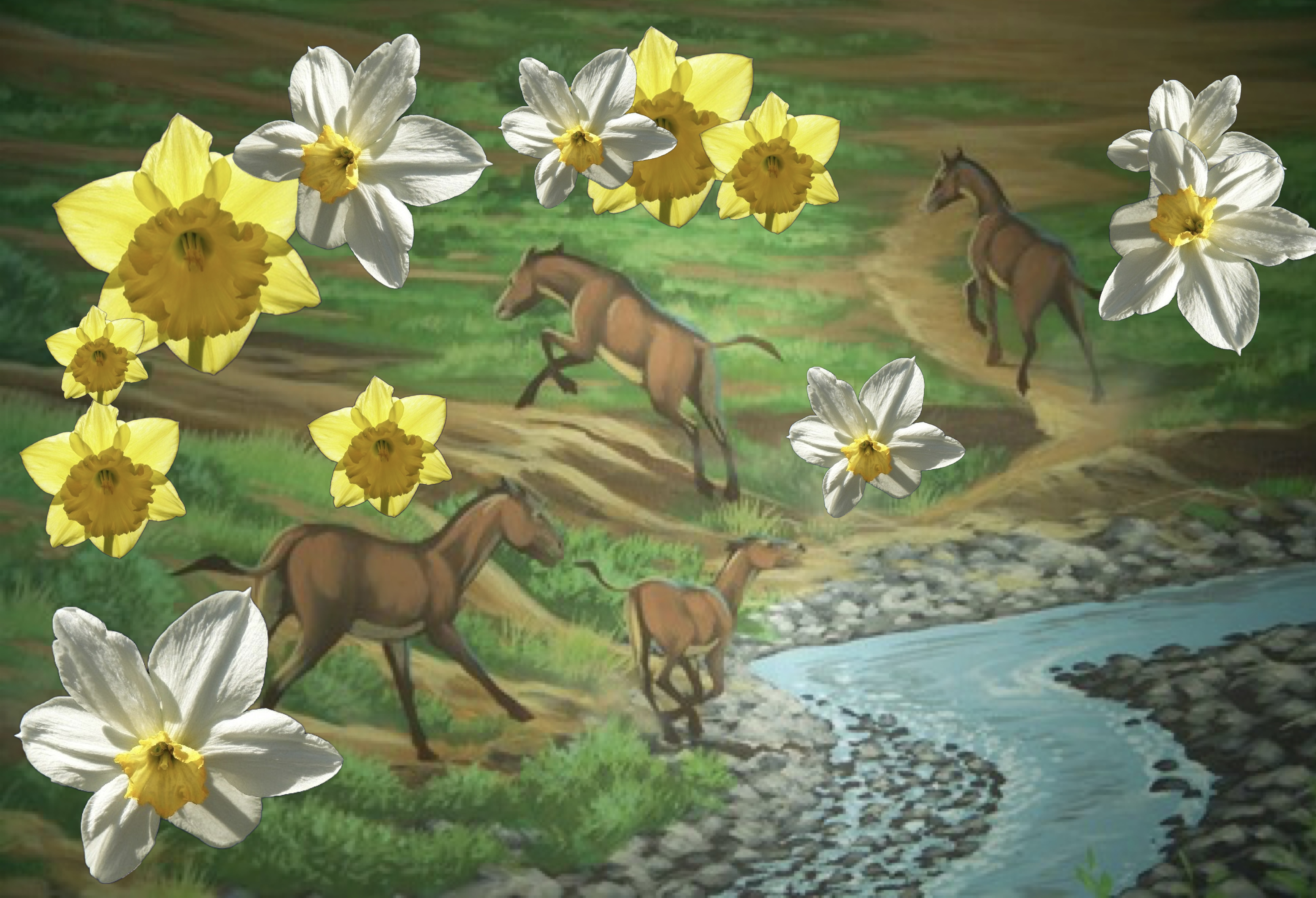 horses and daffodils collage